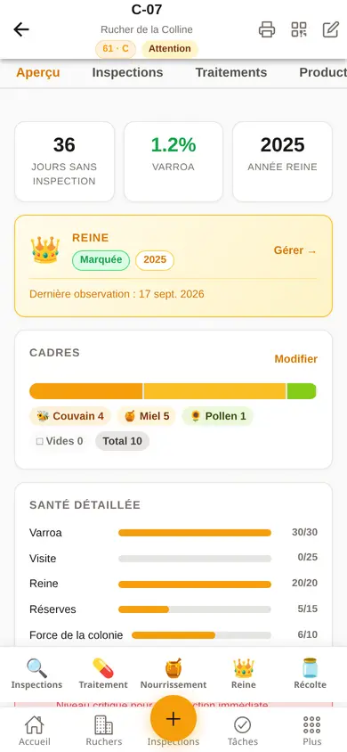 Fiche d'une ruche sur un téléphone : jours depuis la visite, varroa, reine marquée, cadres et santé détaillée.