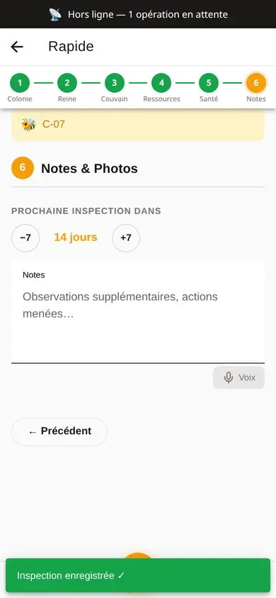 Visite rapide de la ruche C-07 enregistrée sans réseau : bandeau en haut avec 1 opération en attente et avis de visite enregistrée.