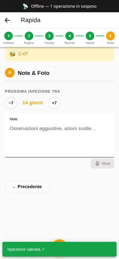 Ispezione rapida dell'arnia C-07 salvata senza rete: fascia in alto con 1 operazione in sospeso e avviso di ispezione salvata.