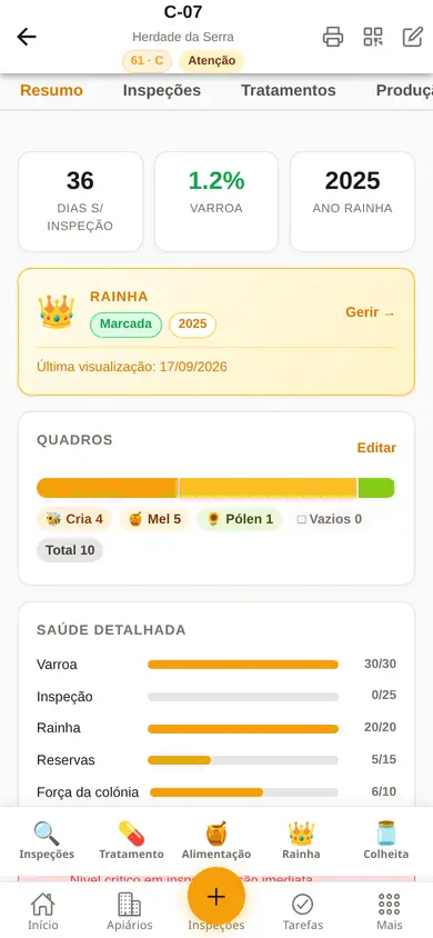 Ficha de uma colmeia no telemóvel: dias desde a inspeção, varroa, rainha marcada, quadros e saúde detalhada.
